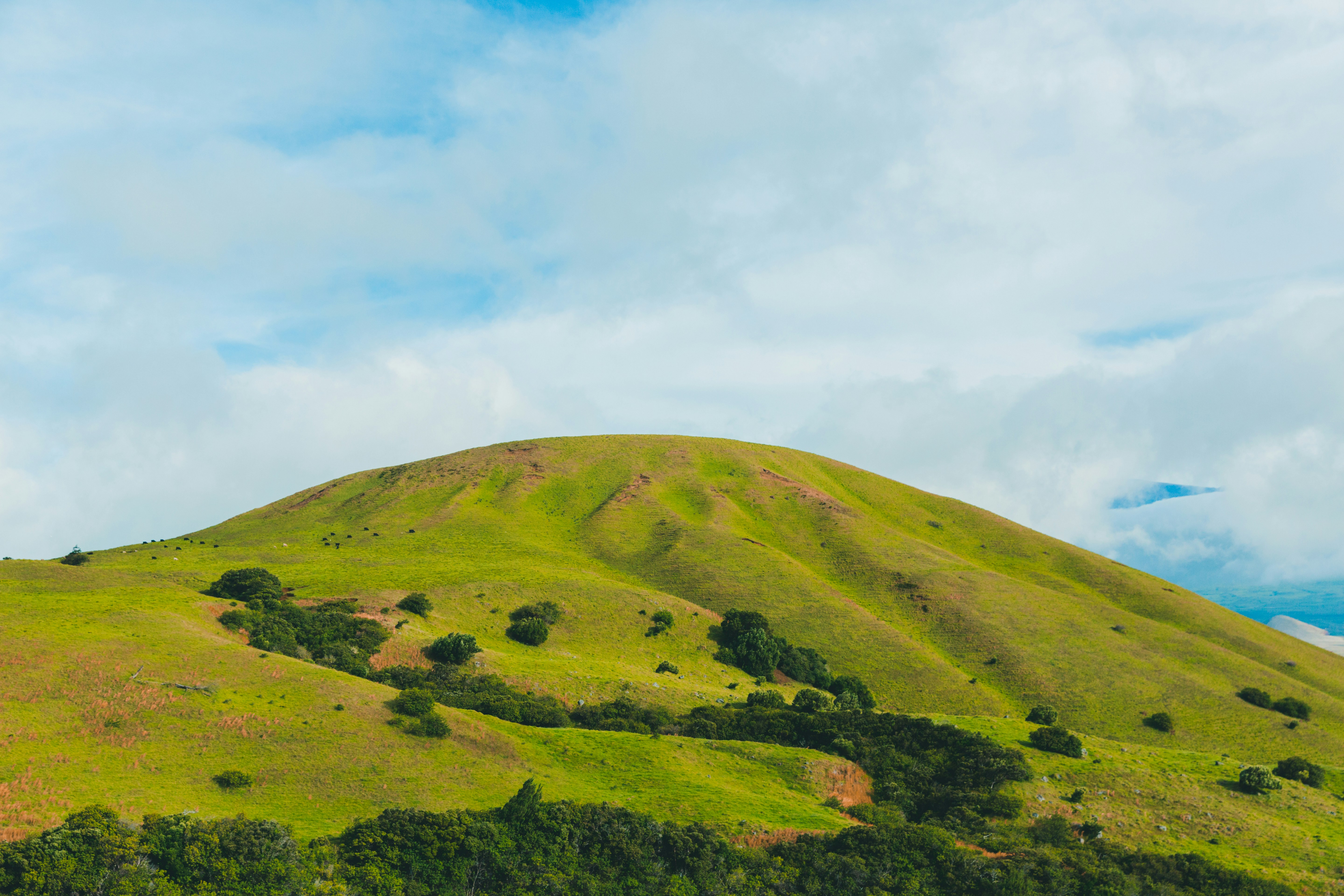 Data points on top of landscape